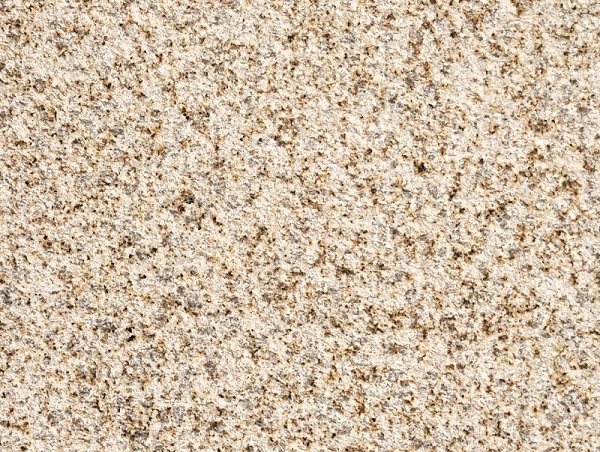 黃金麻荔枝面-大黃